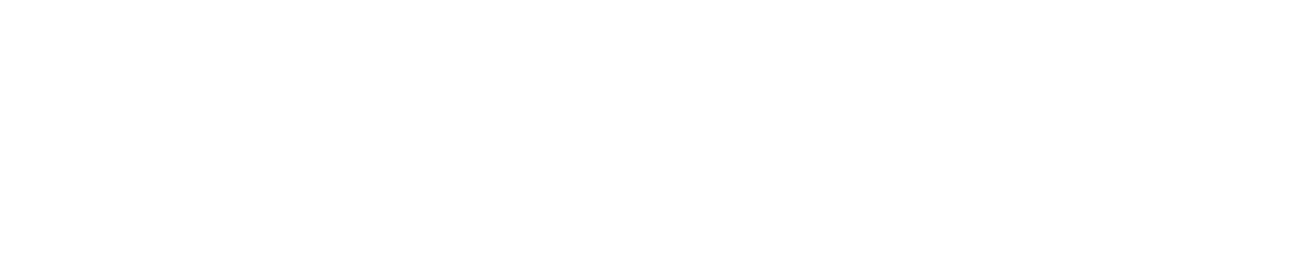 Career Electrono